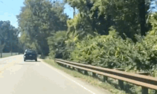 River-Road, Louisville, Driving, gif, road, 