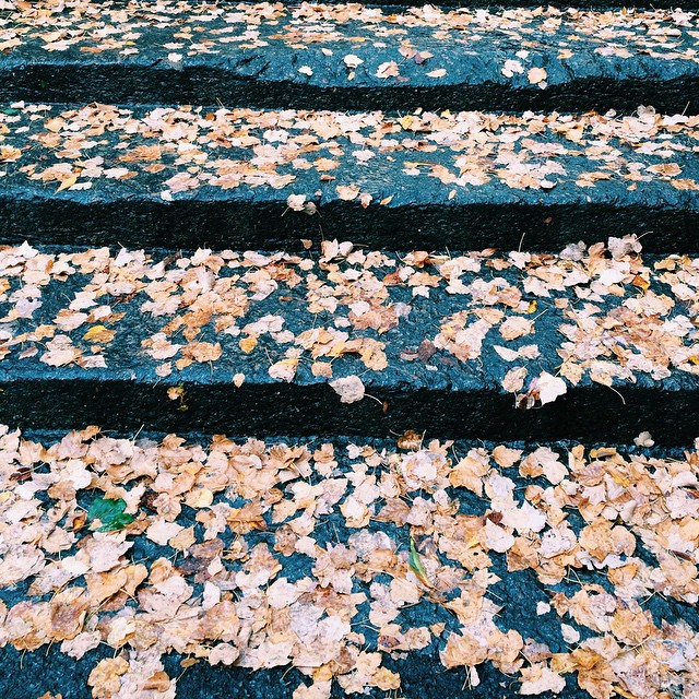 New York can be awfully pretty in the fall, even when it rains.