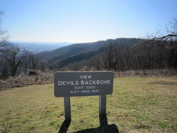 485117_3064261884531_2038340097_n