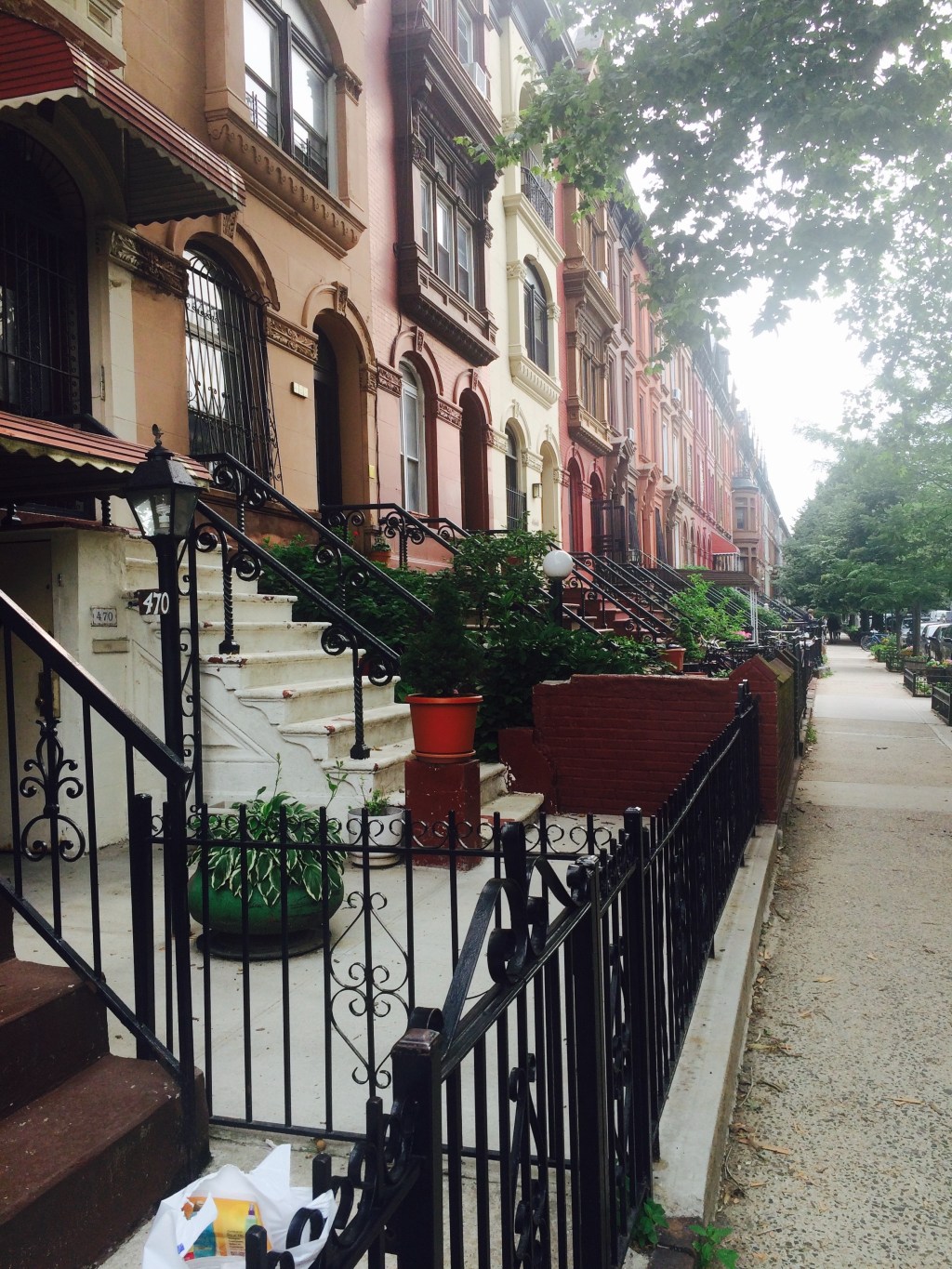 Point A to Point B: Scout’s&nbsp;Commute