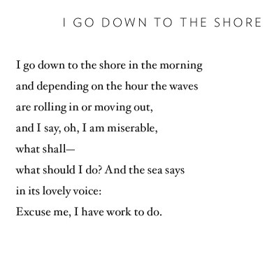 From A Thousand Mornings (via Pinterest)