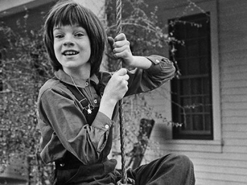 mockingbird-500x375c