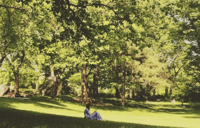 Screen Shot 2016-06-22 at 9.11.38 PM