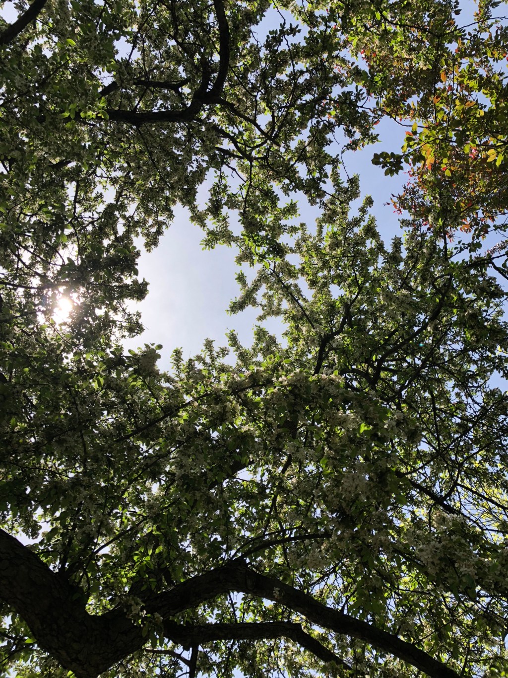 Zelda’s 2018 Summer Reading&nbsp;List