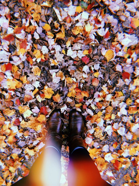 2018-10-01 17:41:35.674.JPG